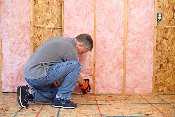 Best Spray Foam Insulation in Port Lavaca, TX