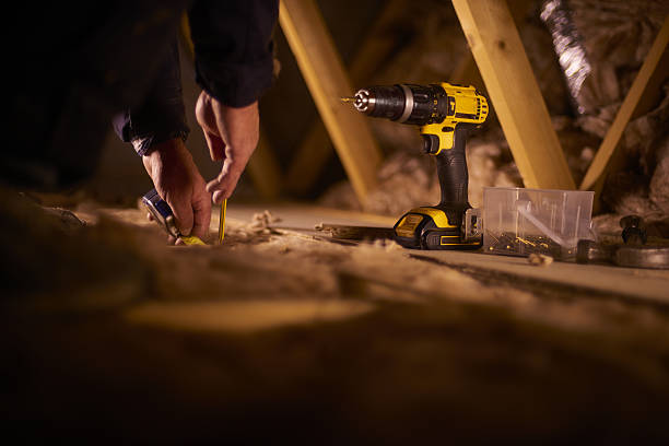 Best Geographic-Specific Insulation Services in Port Lavaca, TX