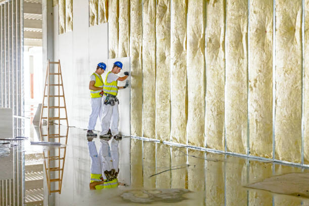 Best Energy Efficiency Insulation in Port Lavaca, TX